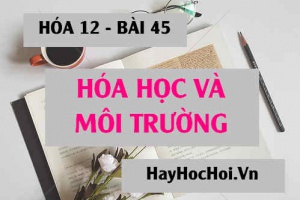 Hóa học và vấn đề ô nhiễm môi trường: Ô nhiễm môi trường nước và phòng chống ô nhiễm môi trường - Hóa 12 bài 45